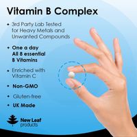 New Leaf Vitamin B Complex 365 Tablets